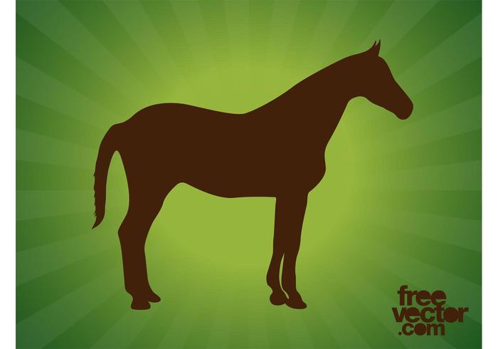 Standing Horse Silhouettes Standing Horse Silhouettes