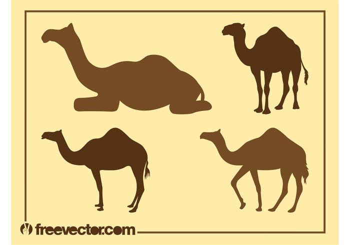Camel Silhouettes Graphics Camel Silhouettes Graphics