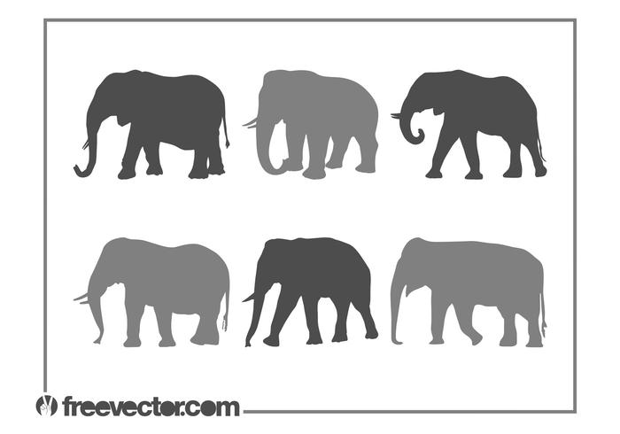 Elephants Silhouette Set Elephants Silhouette Set