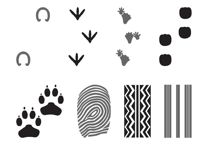 Prints And Traces Set Prints And Traces Set