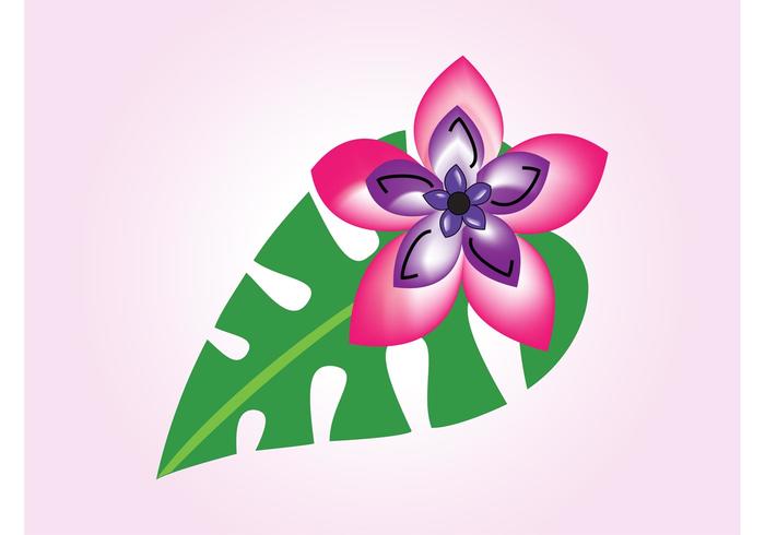 Exotic Flower Graphics Exotic Flower Graphics