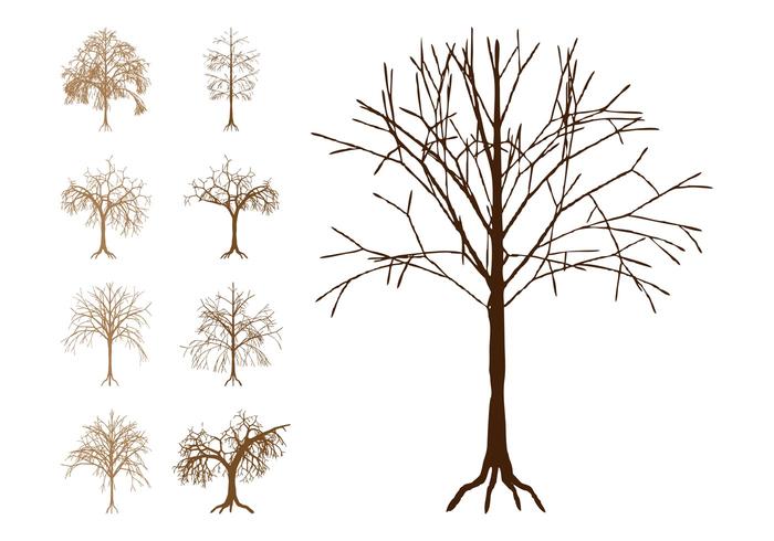 Dead Trees Silhouettes Dead Trees Silhouettes