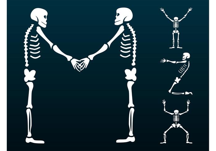 Happy Skeletons Graphics Happy Skeletons Graphics