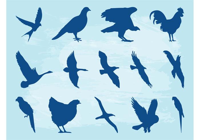 Birds Silhouette Set Birds Silhouette Set