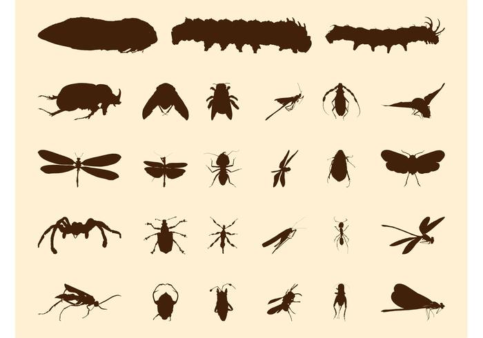 Insects Silhouettes Insects Silhouettes