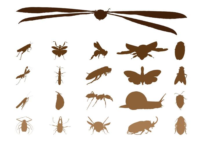 Insect Silhouettes Graphics Insect Silhouettes Graphics