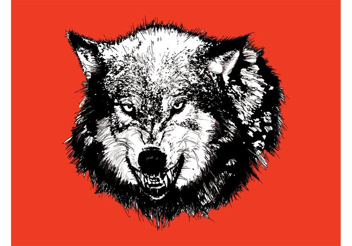 Angry Wolf Head Graphics Angry Wolf Head Graphics
