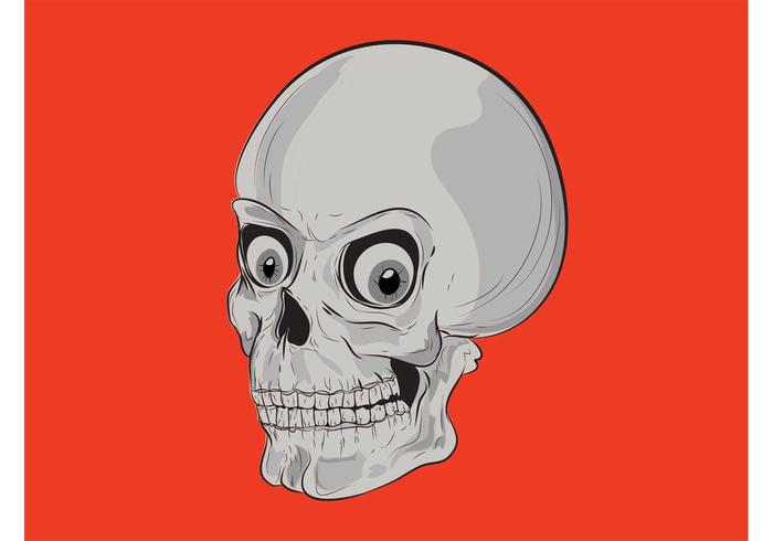 Cartoon Skull Vector Graphics Cartoon Skull Vector Graphics