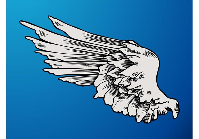 Angel Wing Graphics Angel Wing Graphics