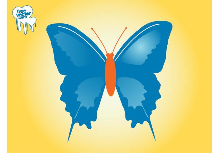 Butterfly Vector Layout Butterfly Vector Layout