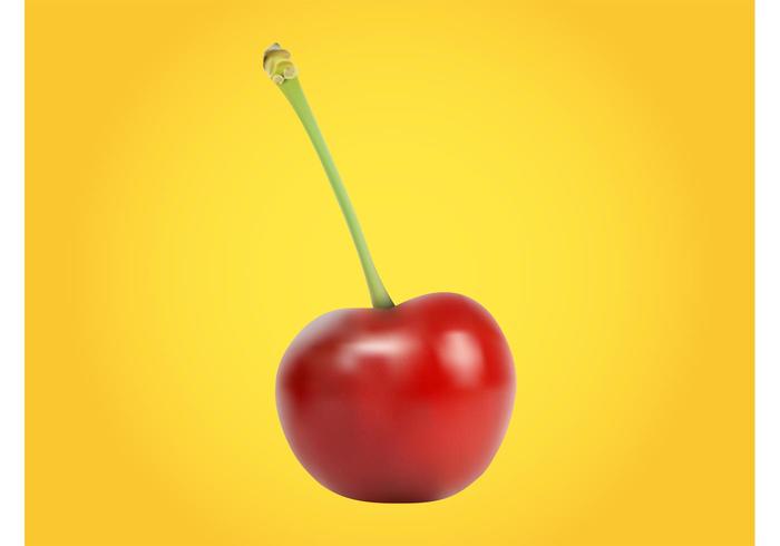 Realistic Cherry Realistic Cherry