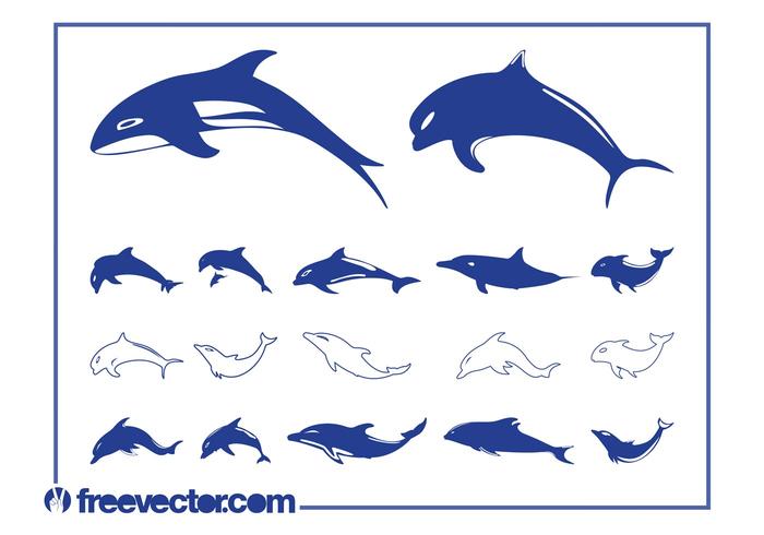 Dolphins Vector Graphics