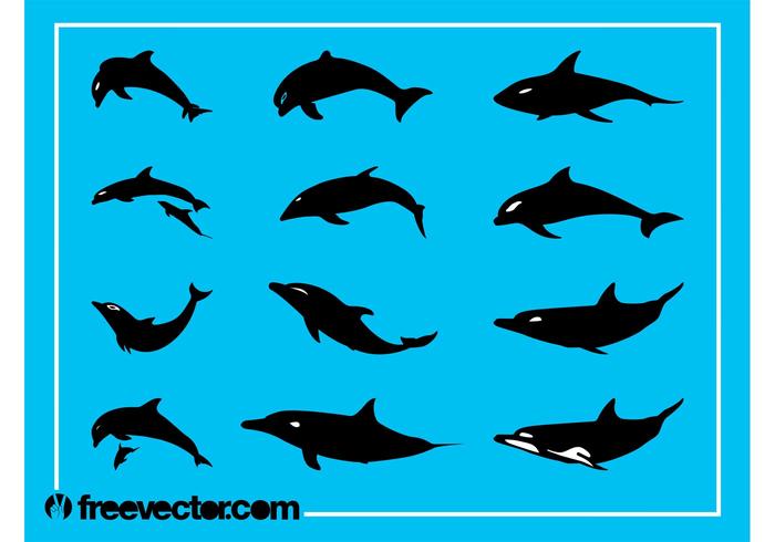 Dolphins Silhouettes Graphics Dolphins Silhouettes Graphics