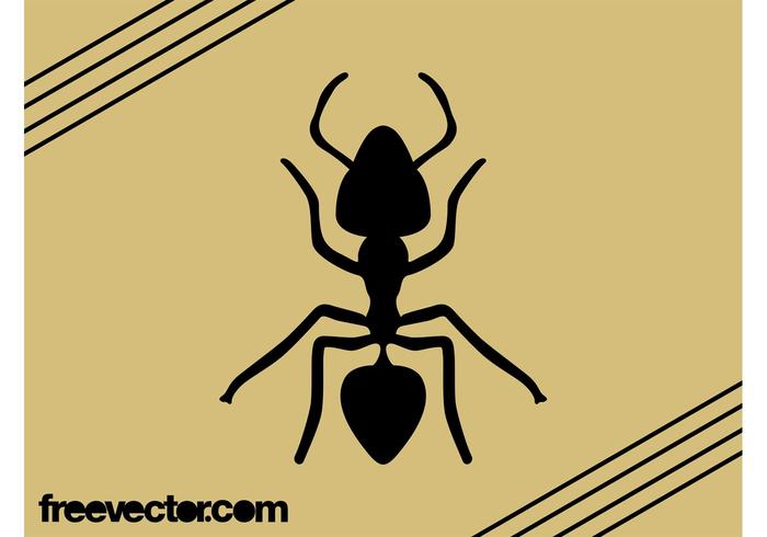 Ant Vector Graphics Ant Vector Graphics