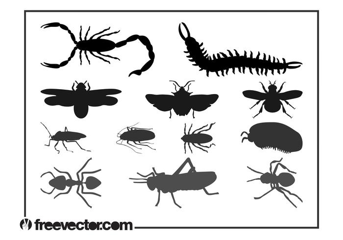 Insect Silhouettes Graphics Set Insect Silhouettes Graphics Set