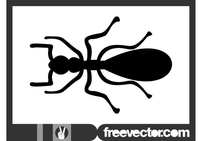 Ant Silhouette Graphics