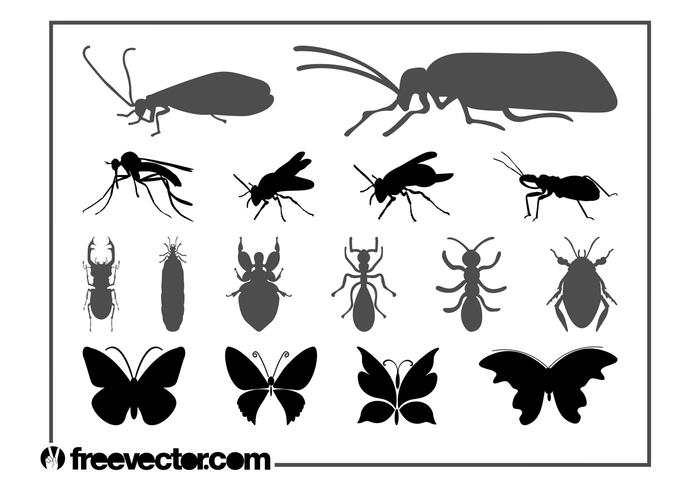 Insects Graphics Set Insects Graphics Set