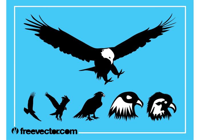 Eagles Silhouette Graphics Eagles Silhouette Graphics