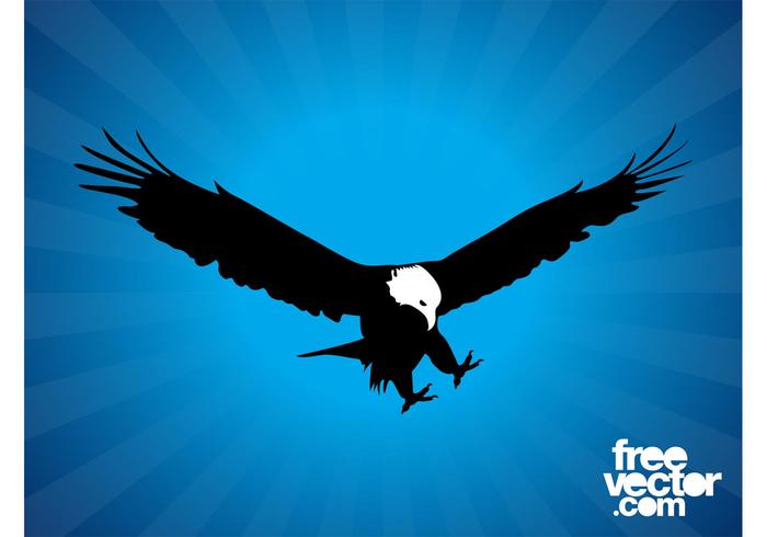 Bald Eagle Silhouette Bald Eagle Silhouette