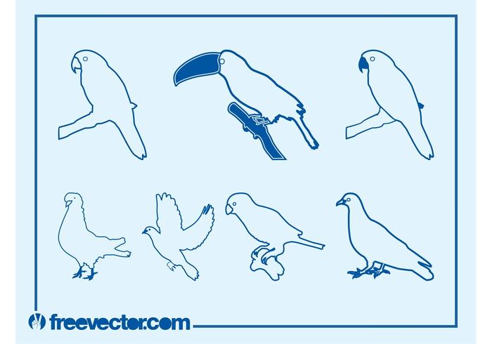 Birds Outlines Graphics