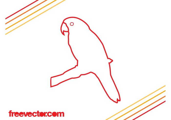 Parrot Outlines Vector Parrot Outlines Vector