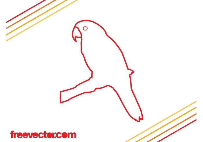 Parrot Outlines Vector