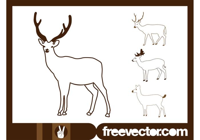 Deer Outlines Vector Deer Outlines Vector