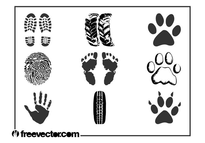 Prints And Traces Vector Set Prints And Traces Vector Set