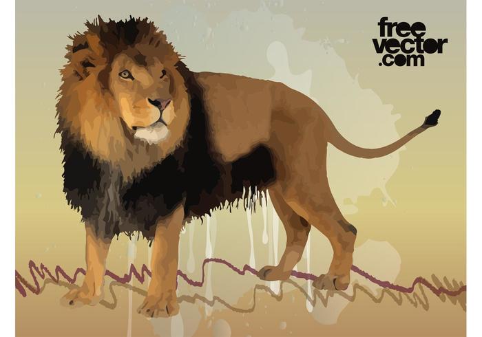 Male Lion Vector Male Lion Vector