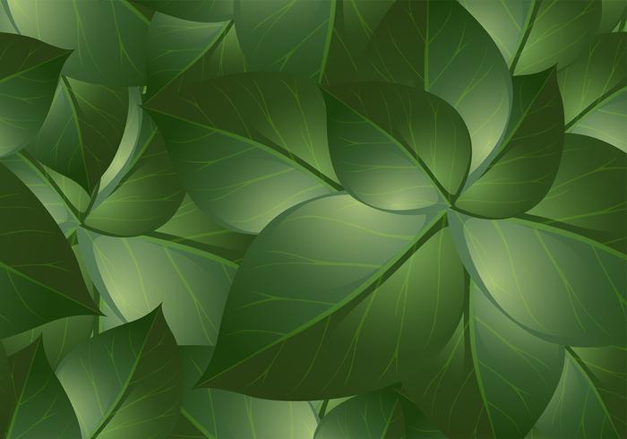 Green Leaf Background Vectors