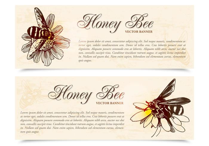 Miel Bee Banners Vector Set