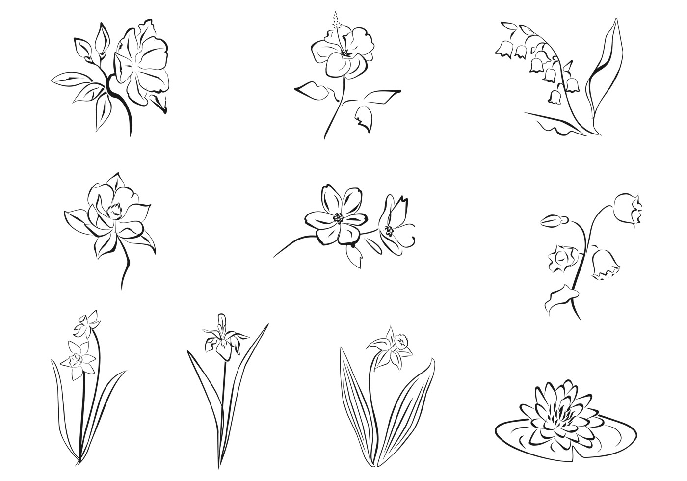 Free Free 339 Drawn Flower Svg SVG PNG EPS DXF File