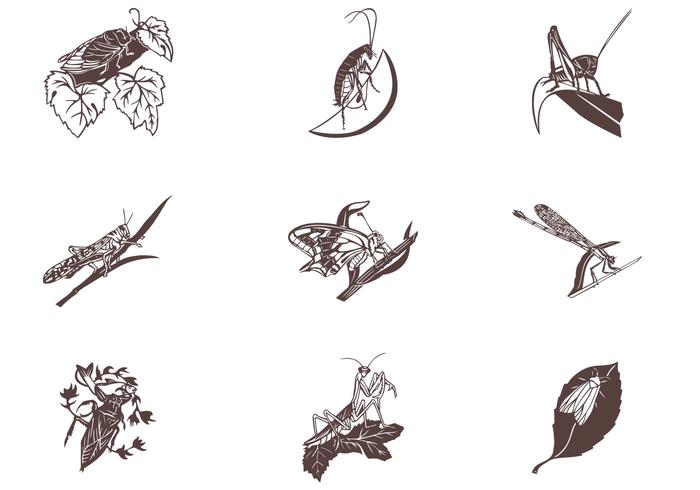 Insects on Leaves Vector Set