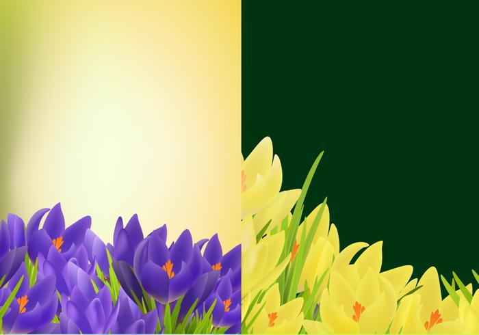 Tulip Background Vector Pack