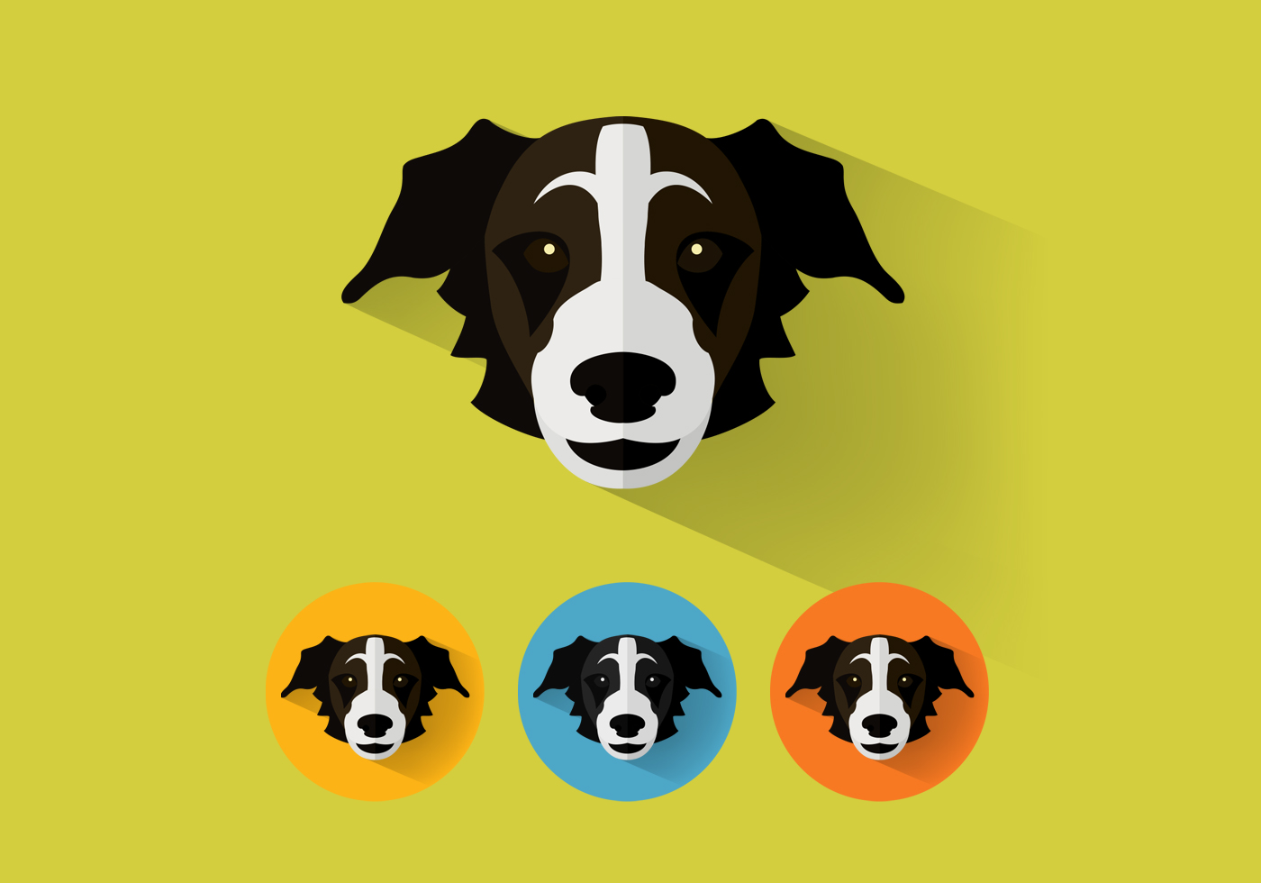 Border Collie Vector 81302 Vector Art at Vecteezy