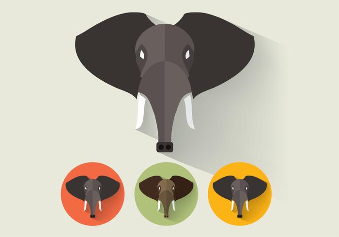 Elephant Portraits Vector