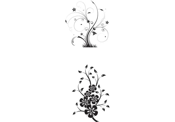 Free Floral Swirls Vectors