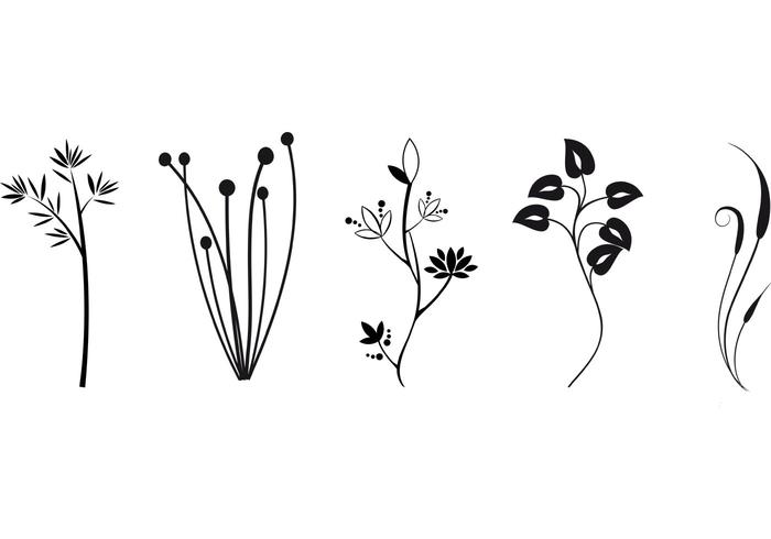 Free Plant Vectors