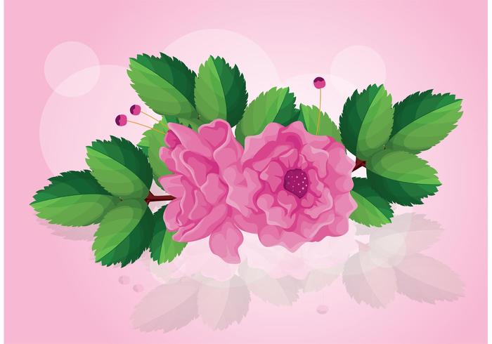 Rose Vector with Leaves 