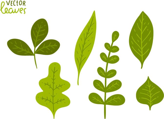 Green Leaves Vector Pack