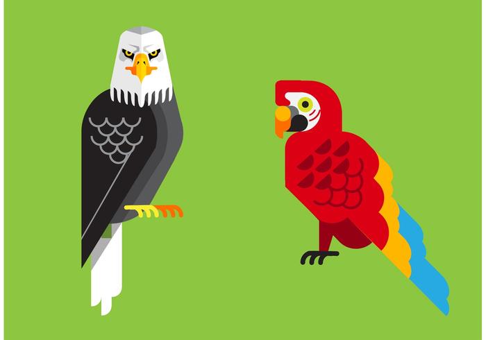 Tropical Birds Vector Pack Tropical Birds Vector Pack