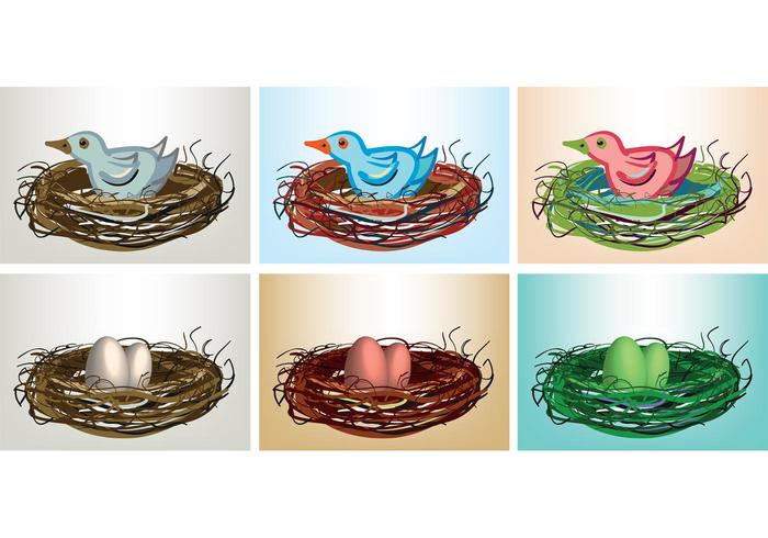 Free Vector Bird in Nest with Eggs and Birds Free Vector Bird in Nest with Eggs and Birds