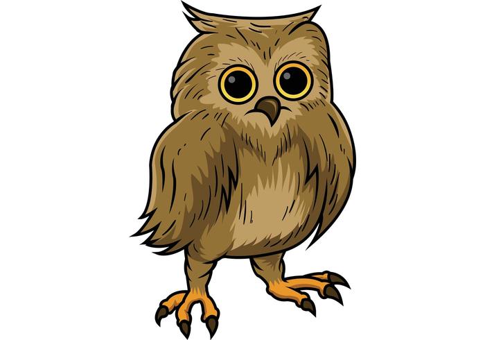 Owl Vector 