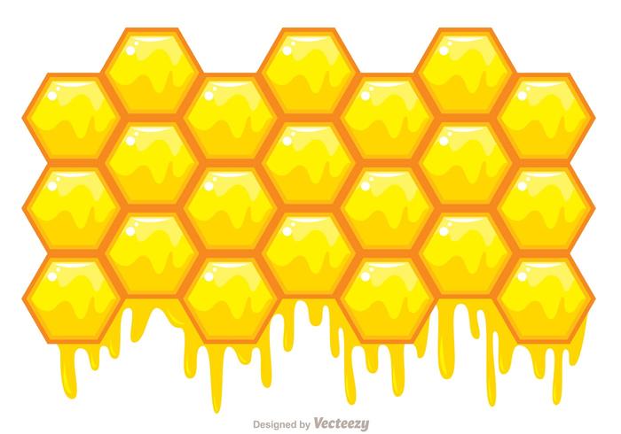 Honeycomb Vector Background 