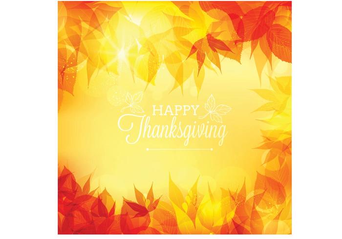 Free Vector Thanksgiving Bokeh Background