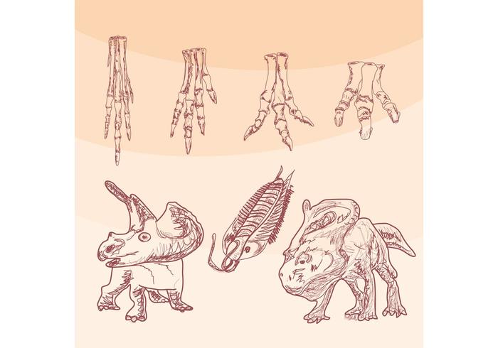 Pies del vector del hueso del dinosaurio