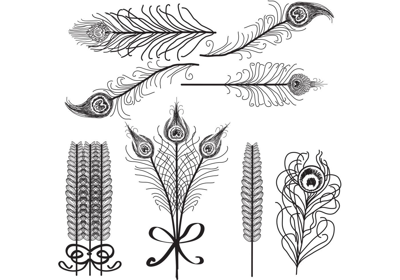 Download Vector Feathers Birds of Paradise White and Black 83094 ...