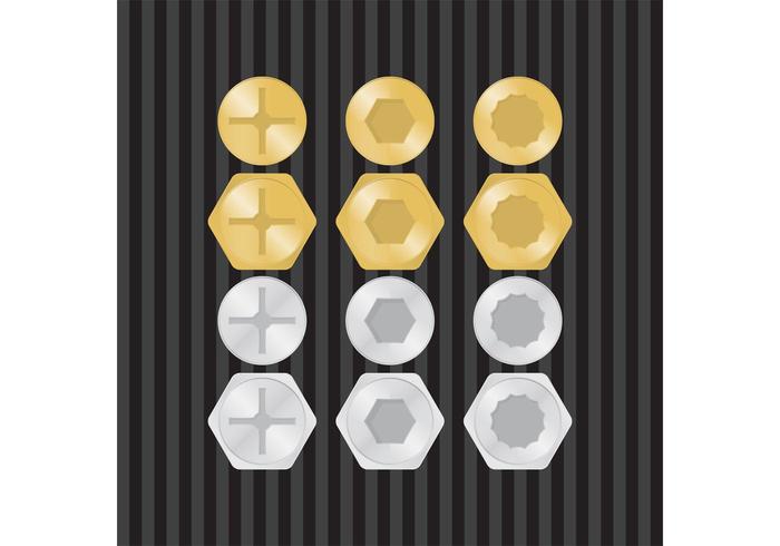 Gold  Silver Screws Vector