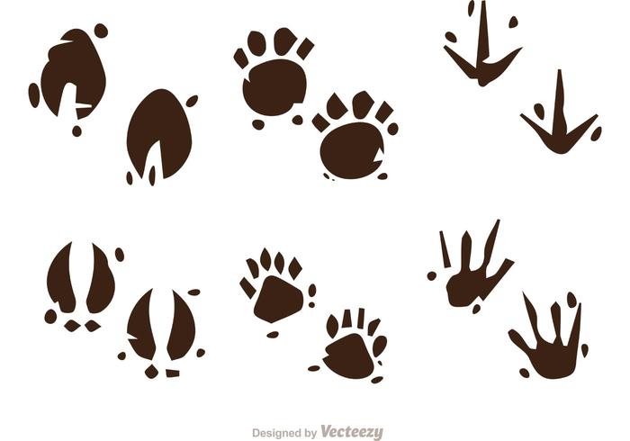 Muddy Animal Footprint Vectors