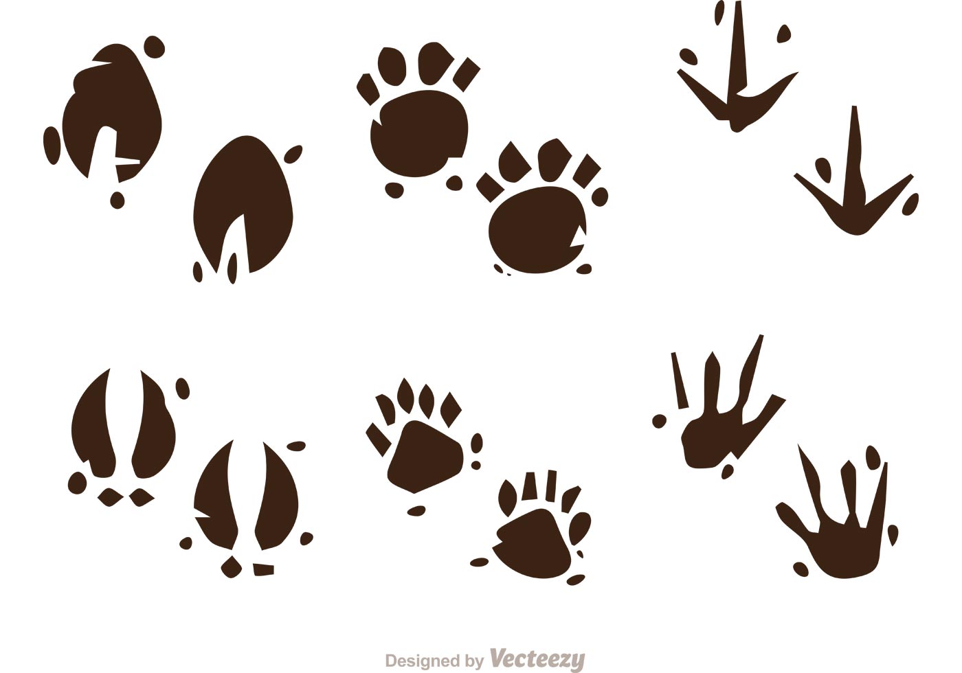 Download Wild Animal Tracks Free Svg / Silhouette Animal Track Set - Download Free Vectors ... / Set with ...